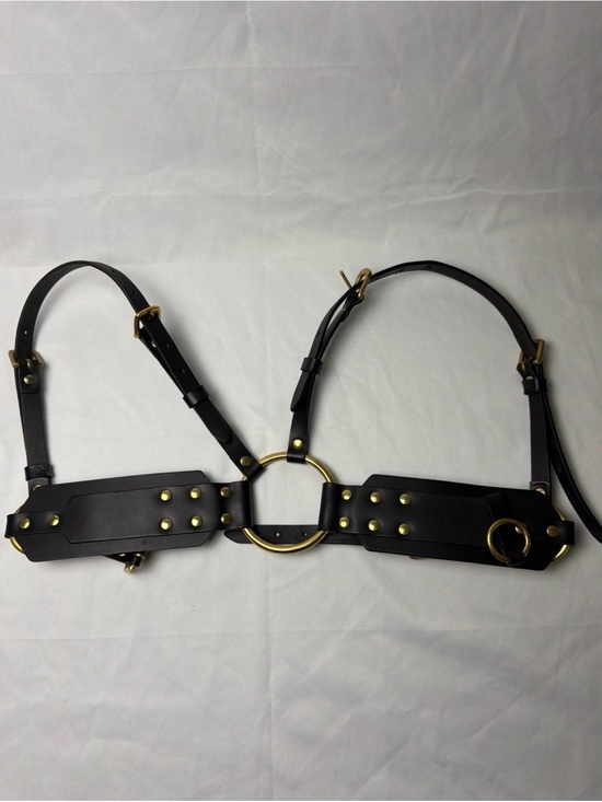 Ardeo Brass High Waist Harness